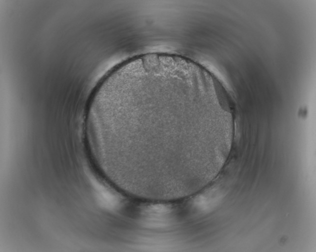 X0000091350156200709071245