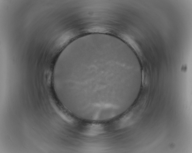 X0000091350157200709071245