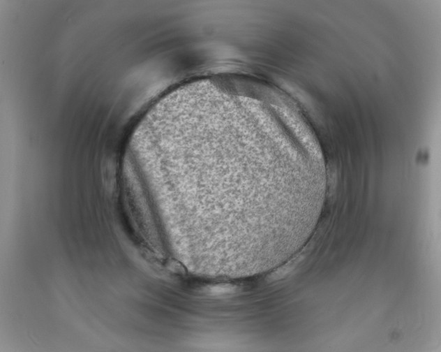 X0000091350158200709071245
