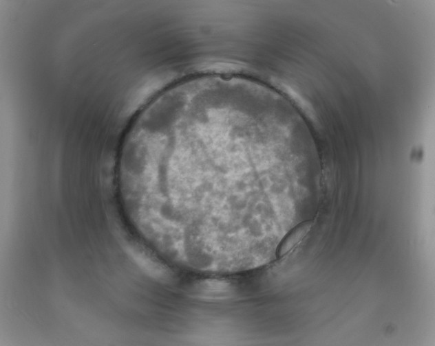 X0000091350159200709071245