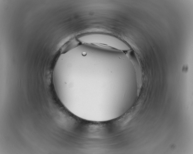 X0000091350160200709071245