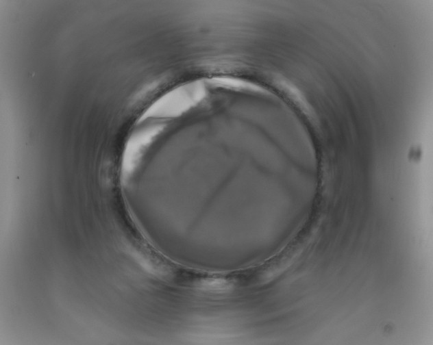X0000091350161200709071245