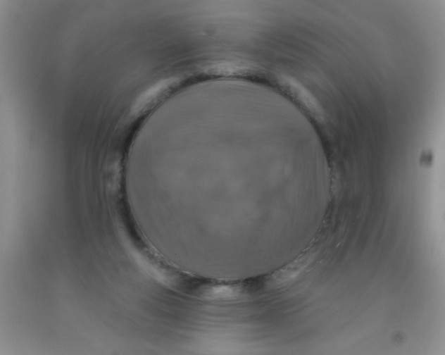 X0000091350163200709071245