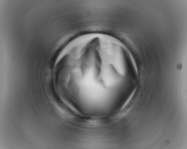 X0000091350164200709071246