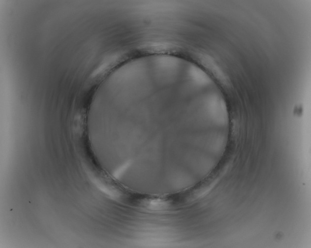 X0000091350165200709071246