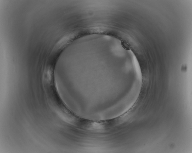 X0000091350166200709071246