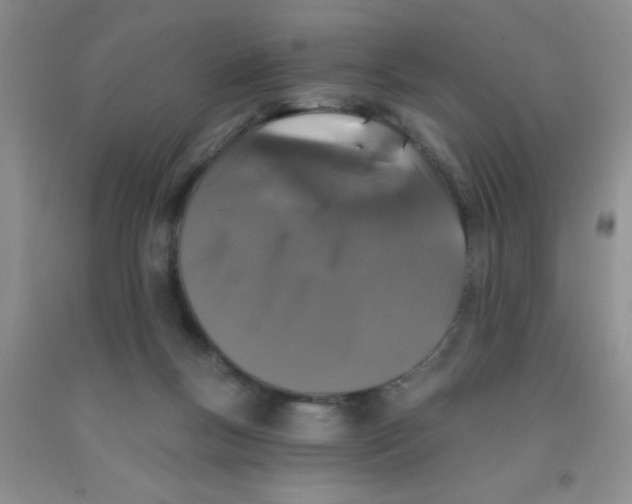 X0000091350167200709071246