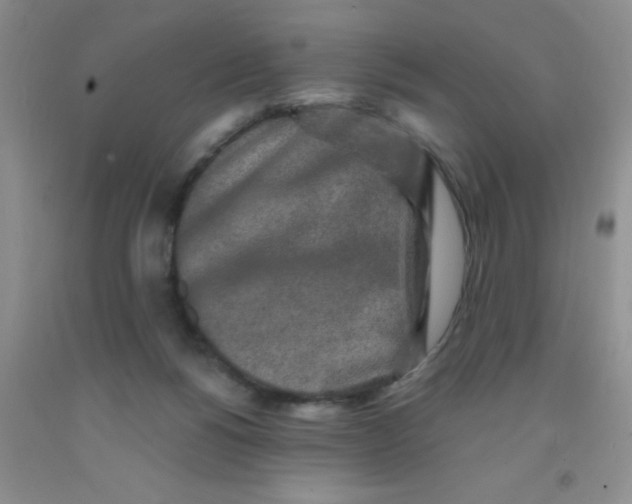 X0000091350168200709071246