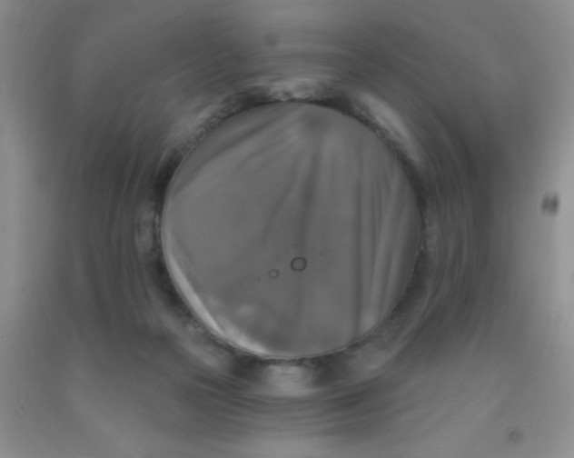 X0000091350169200709071246
