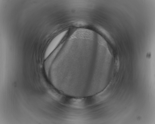 X0000091350170200709071246