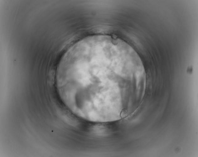 X0000091350171200709071246