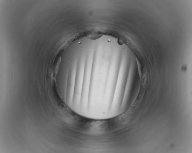 X0000091350172200709071246
