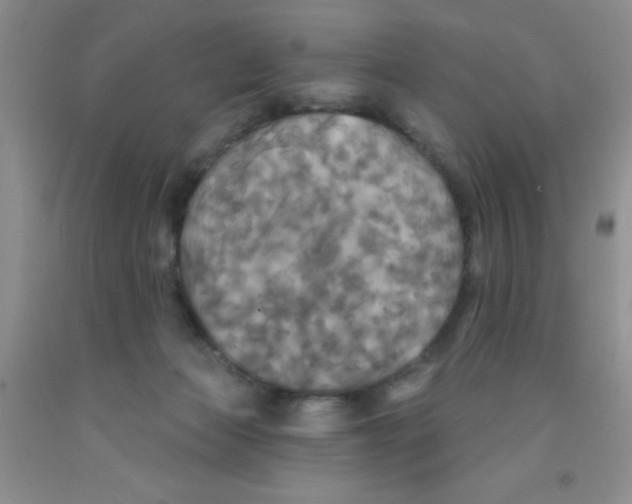 X0000091350173200709071246