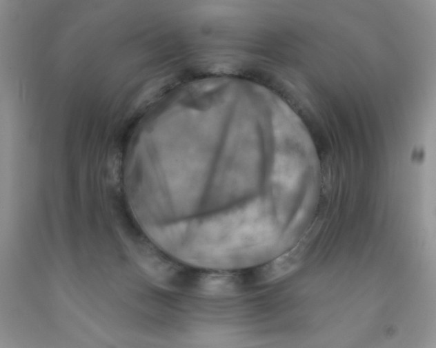 X0000091350175200709071246