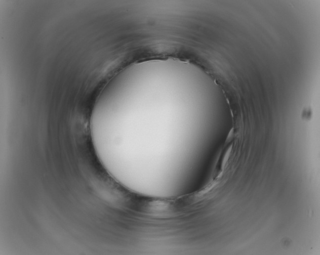 X0000091350176200709071246