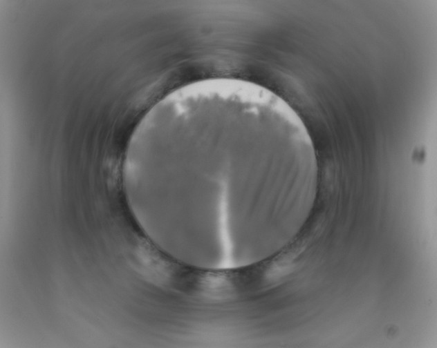 X0000091350177200709071246