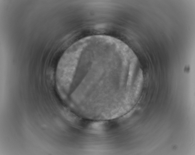 X0000091350178200709071246