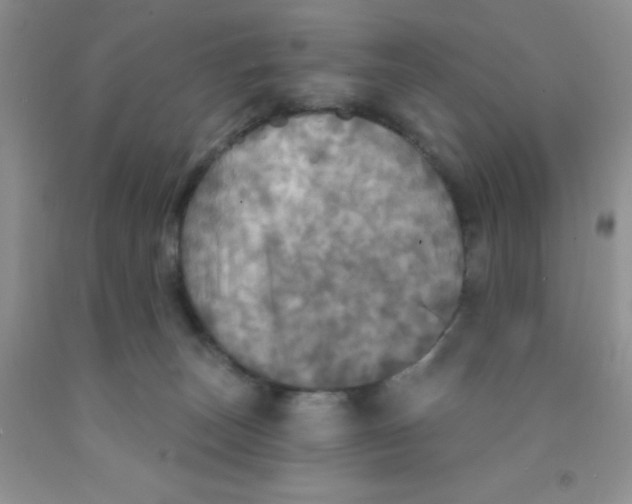 X0000091350179200709071246