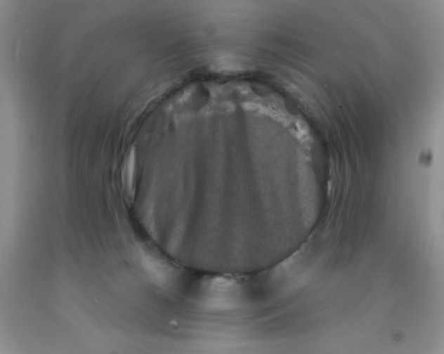 X0000091350180200709071246