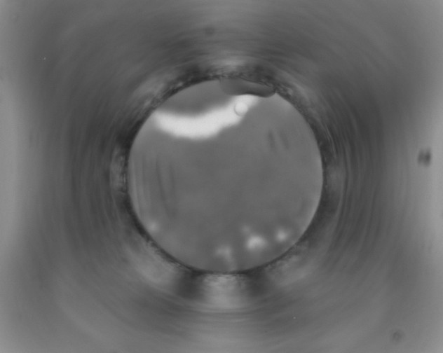 X0000091350181200709071246