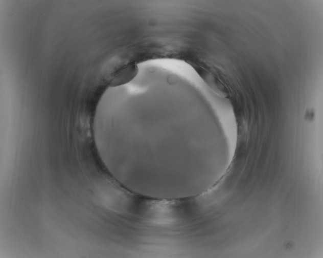 X0000091350182200709071246