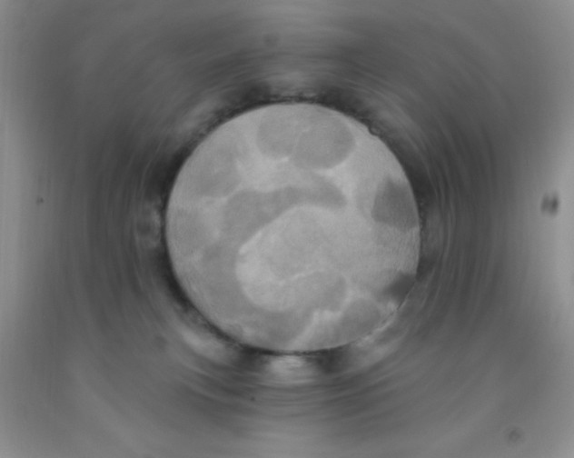 X0000091350183200709071246