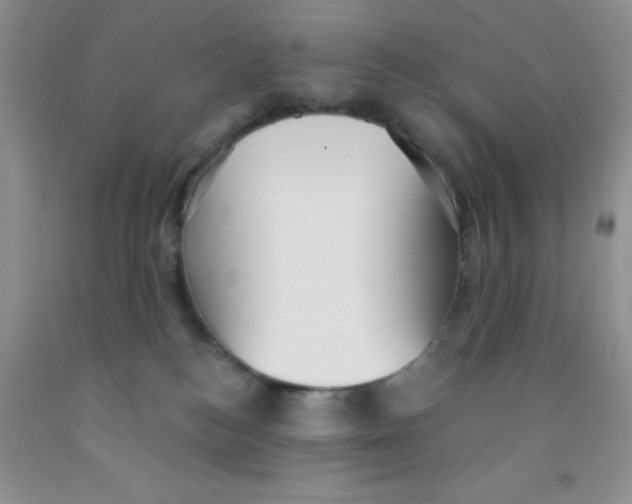 X0000091350184200709071246