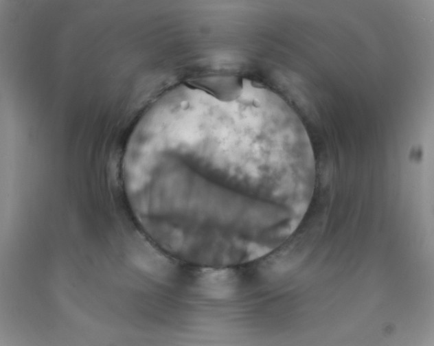 X0000091350185200709071246