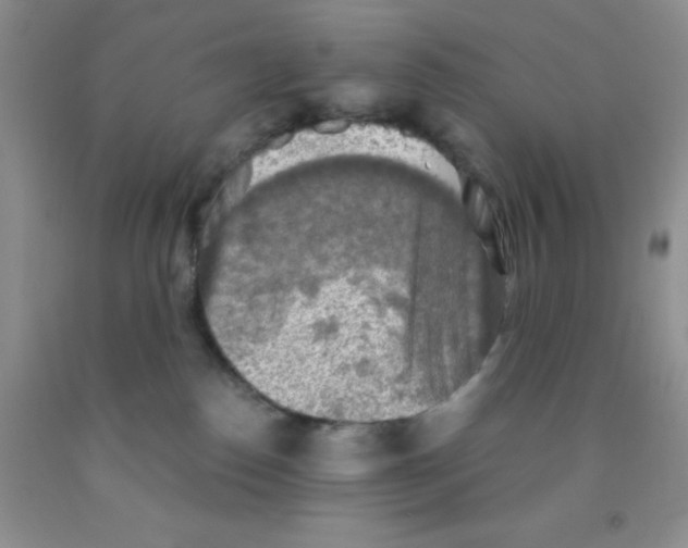 X0000091350186200709071246
