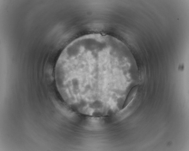 X0000091350187200709071246