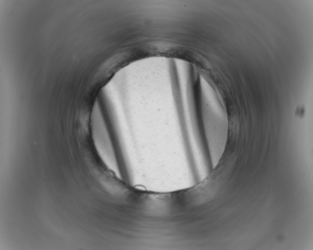 X0000091350188200709071246