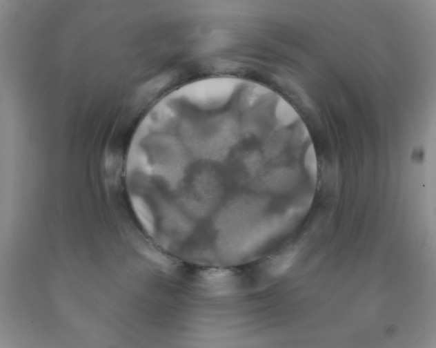 X0000091350189200709071246