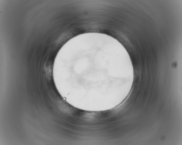X0000091350190200709071246