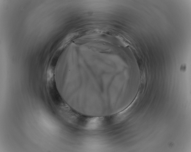 X0000091350191200709071246