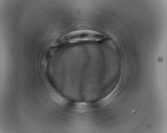 X0000091350192200709071246