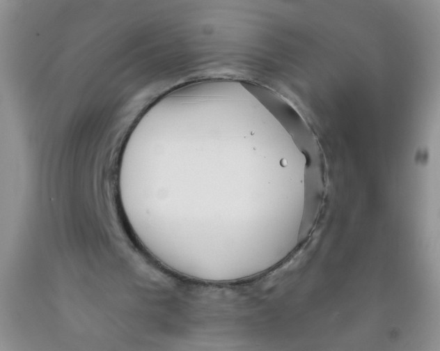 X0000091350193200709071245