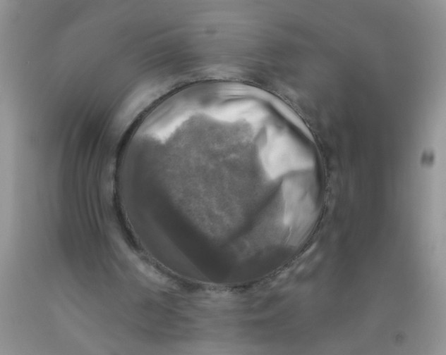 X0000091350194200709071245