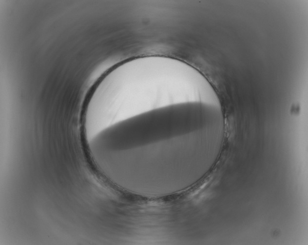 X0000091350196200709071245