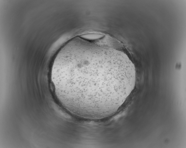 X0000091350197200709071245