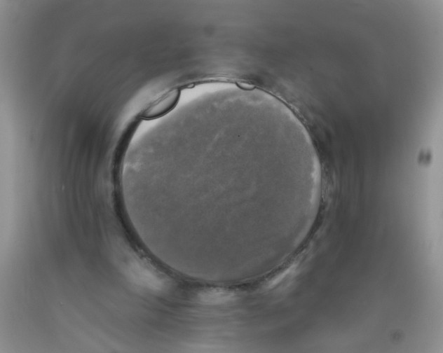 X0000091350198200709071245