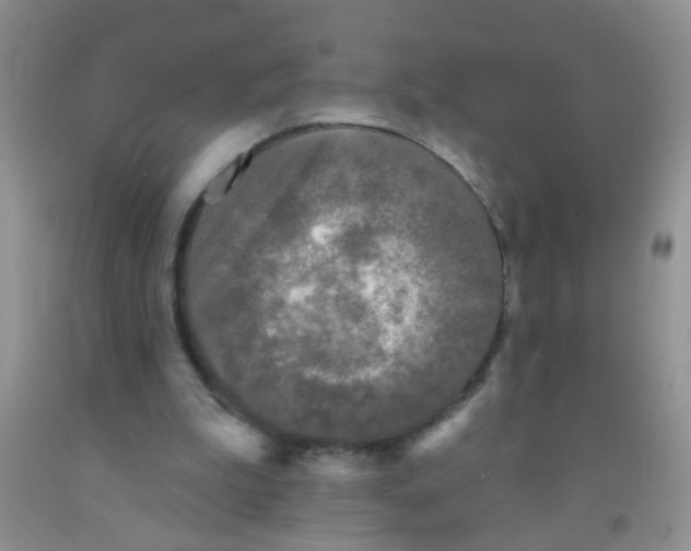 X0000091350199200709071245