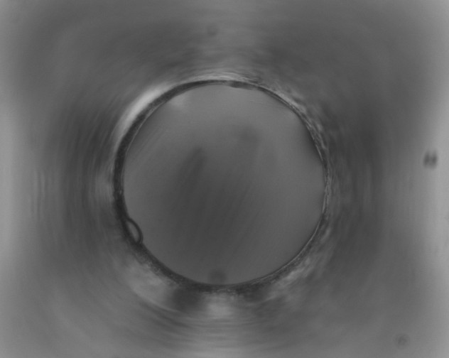 X0000091350200200709071245