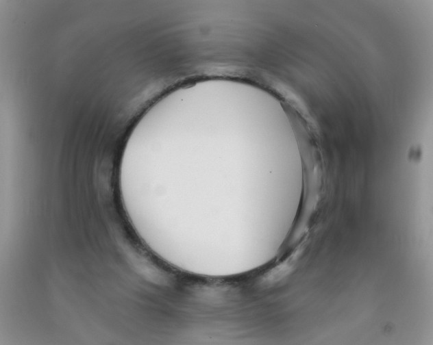 X0000091350201200709071245