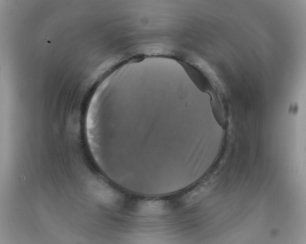 X0000091350202200709071245