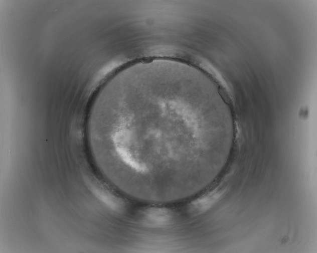 X0000091350203200709071245