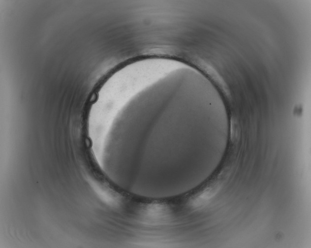 X0000091350204200709071245