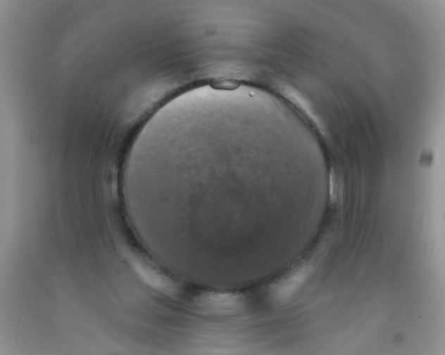 X0000091350205200709071245