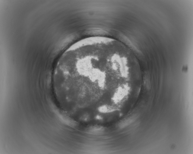 X0000091350206200709071245