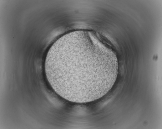 X0000091350207200709071245