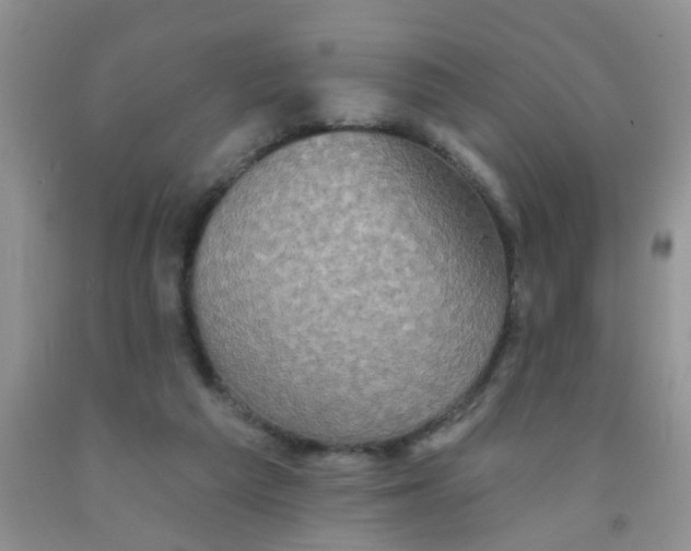 X0000091350209200709071245